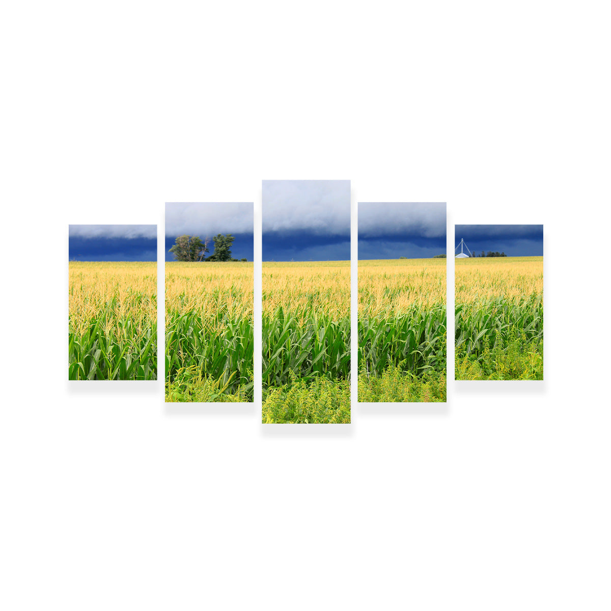 Stunning Thunderstorm Over Illinois Cornfield Wall Art for Home Decor