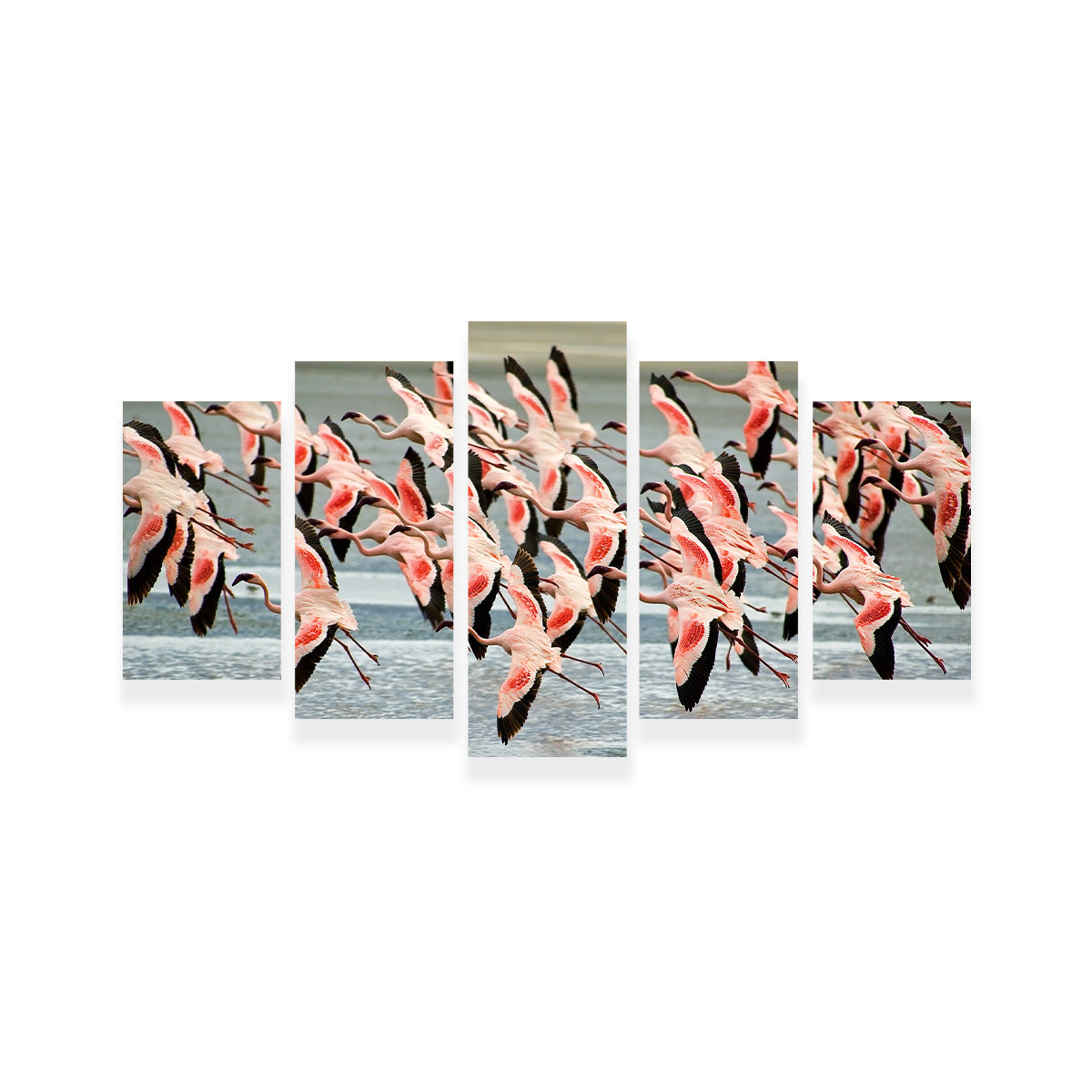 Exquisite Flamingos in Tanzania Wall Art for Your Home Decor