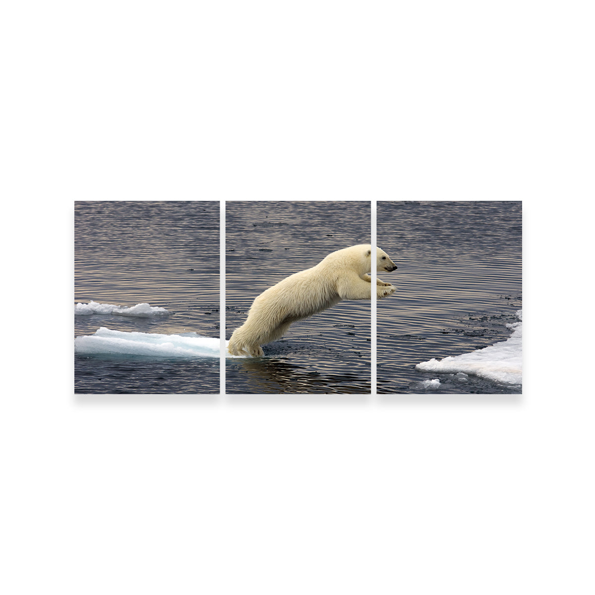 Eye - catching Jumping Polar Bear Wall Art for Stunning Home Decor