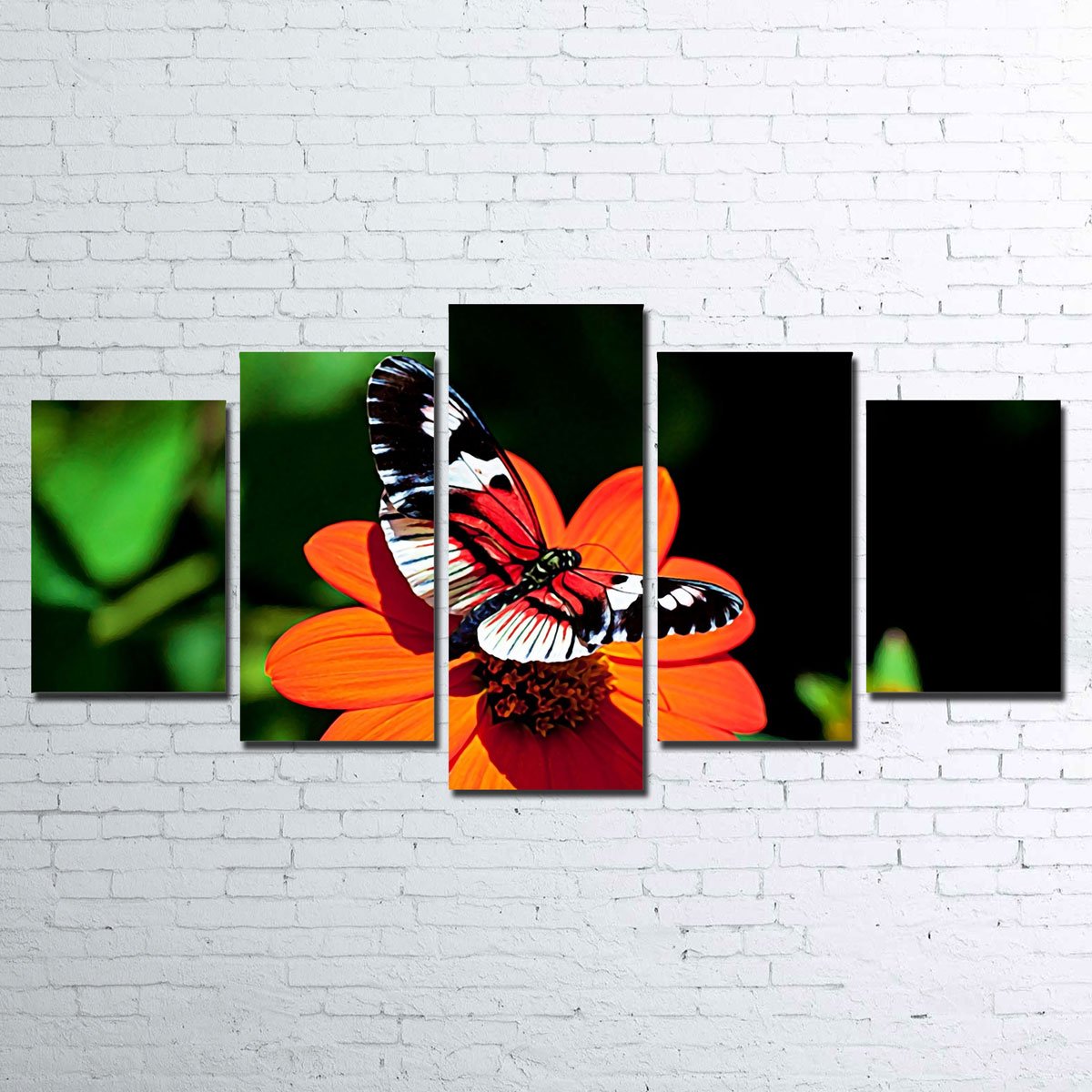 Stunning Vibrant Butterfly Wall Art for Striking Home Decor