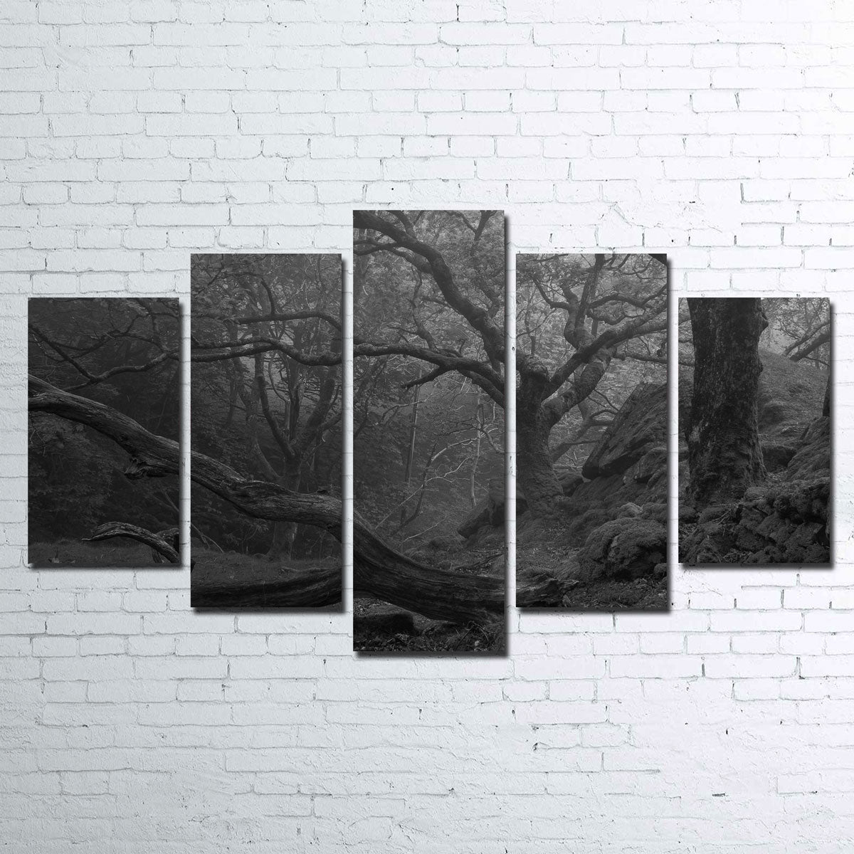 Stunning Thick Roots Wall Art by Mike Cotton