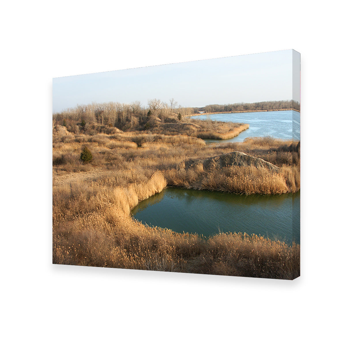 Stunning Mazonia Braidwood State Fish and Wildlife Area Wall Art - Sustainable Pine Frame Canvas