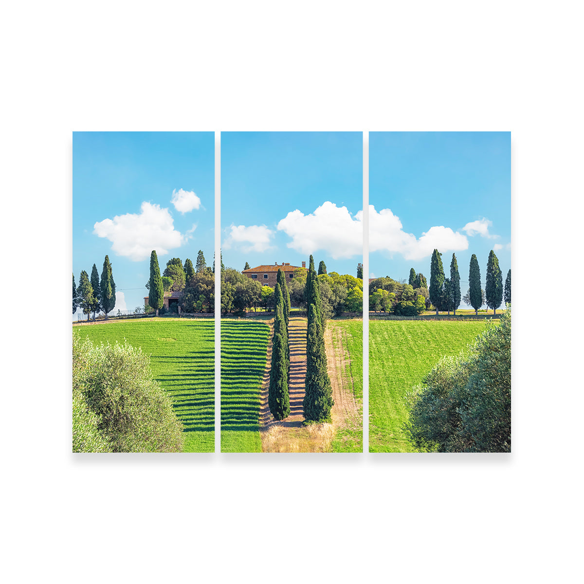 Exquisite Tuscany Wall Art by Manjik Pictures