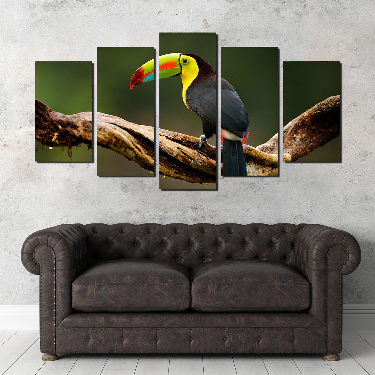 Exquisite Keel - billed Toucan Wall Art for Stunning Home Decor