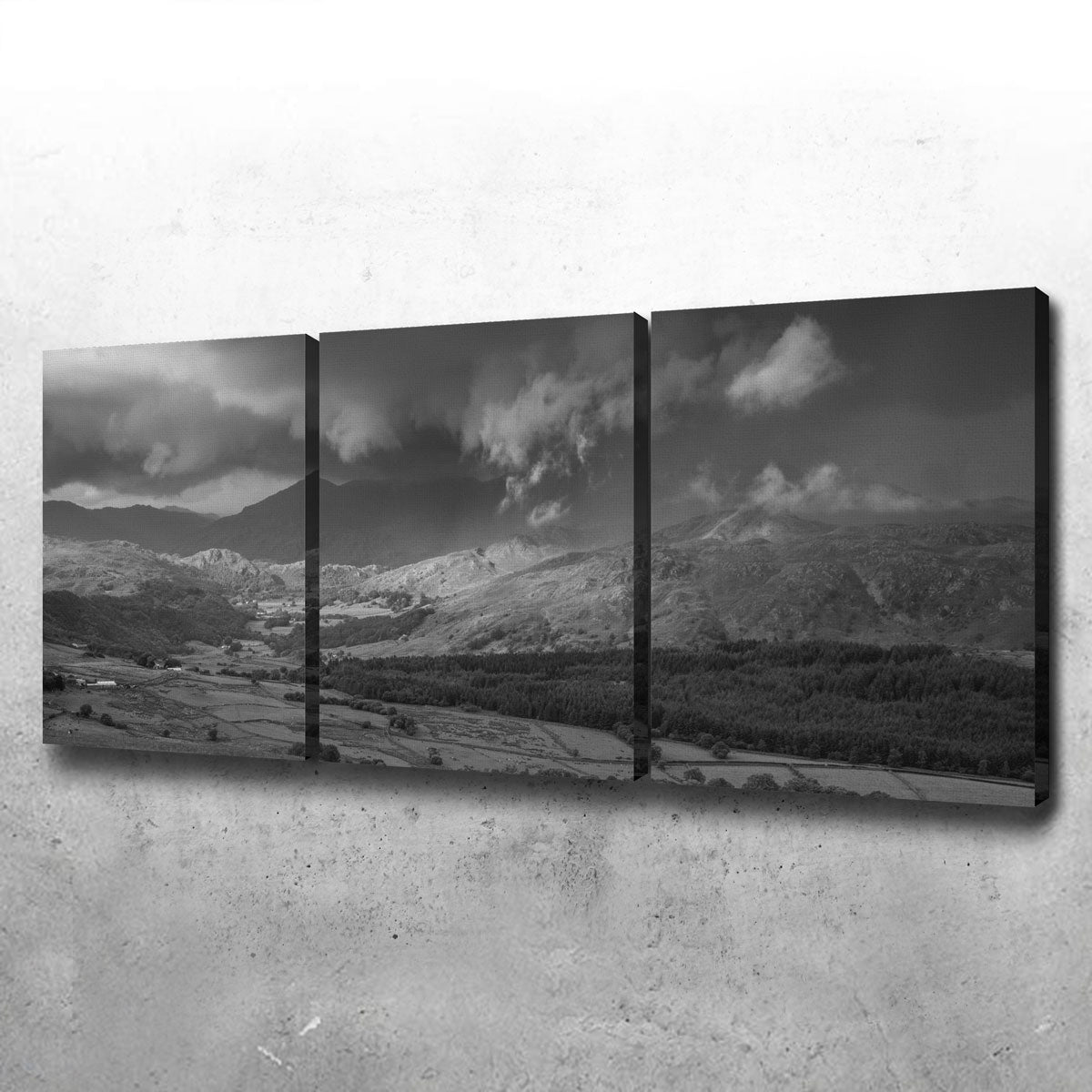 Stormy Fields Exquisite Wall Art by Mike Cotton