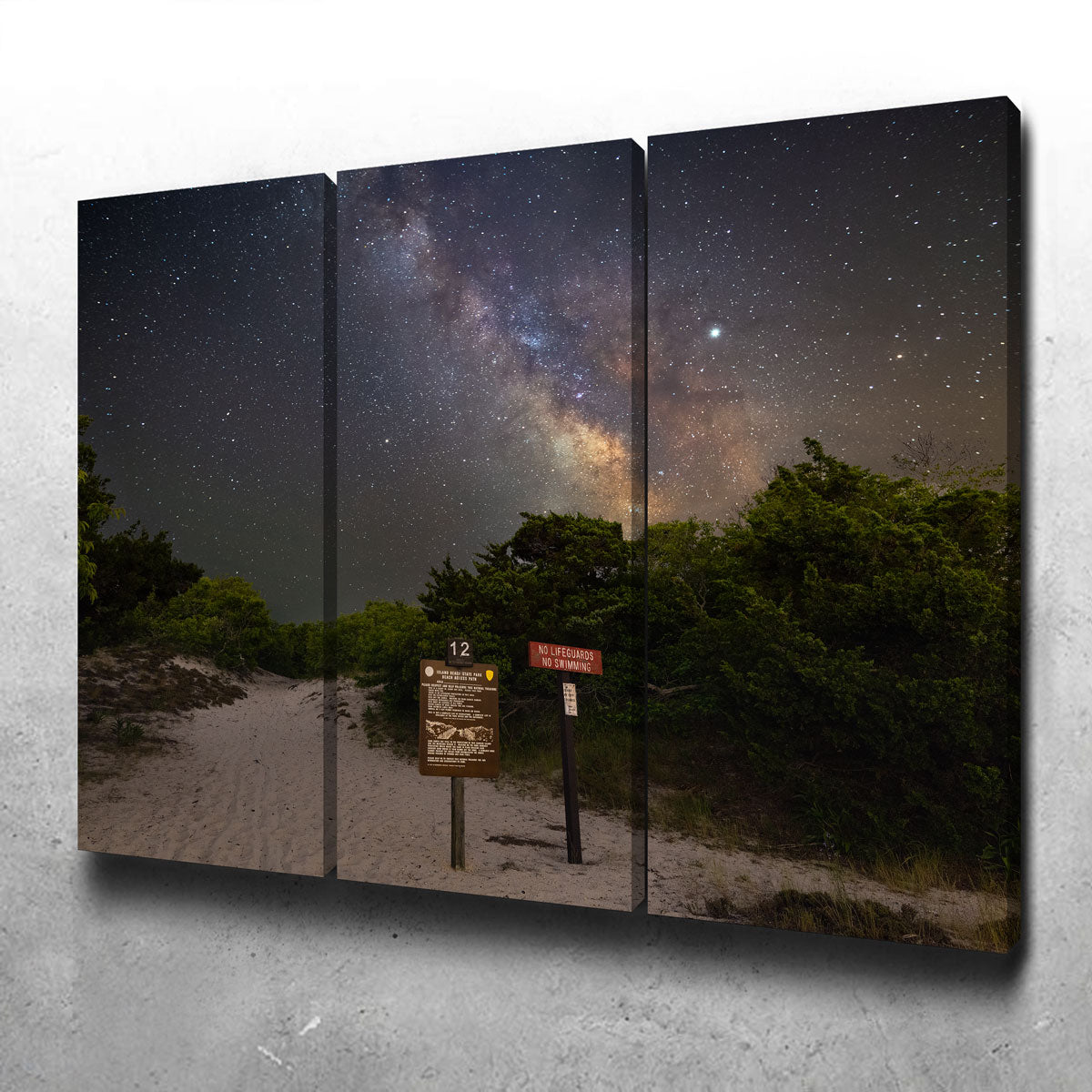 The Quest Wall Art - Stunning Museum-Quality Canvas by Shaun Mayer