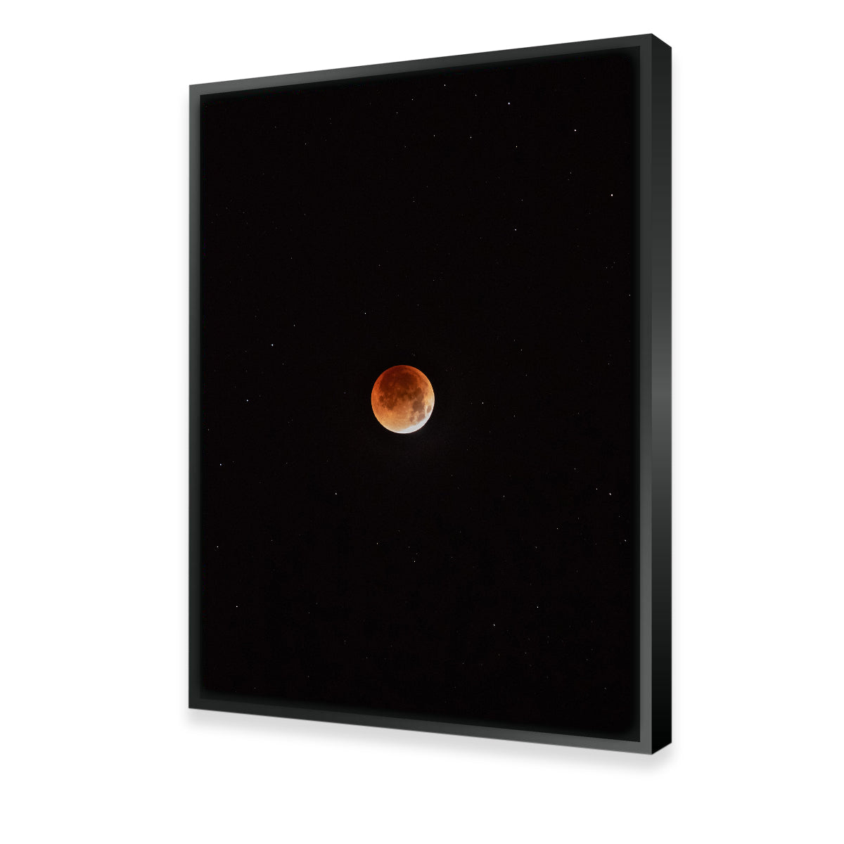 Enchanting Moon in the Shadow Wall Art by Sofia Leite Fonseca