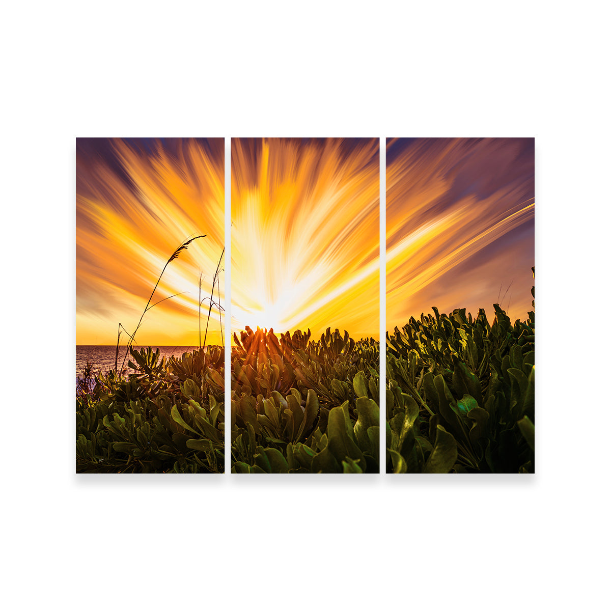 Stunning Exploding Sunset Wall Art by Eileen Rollin