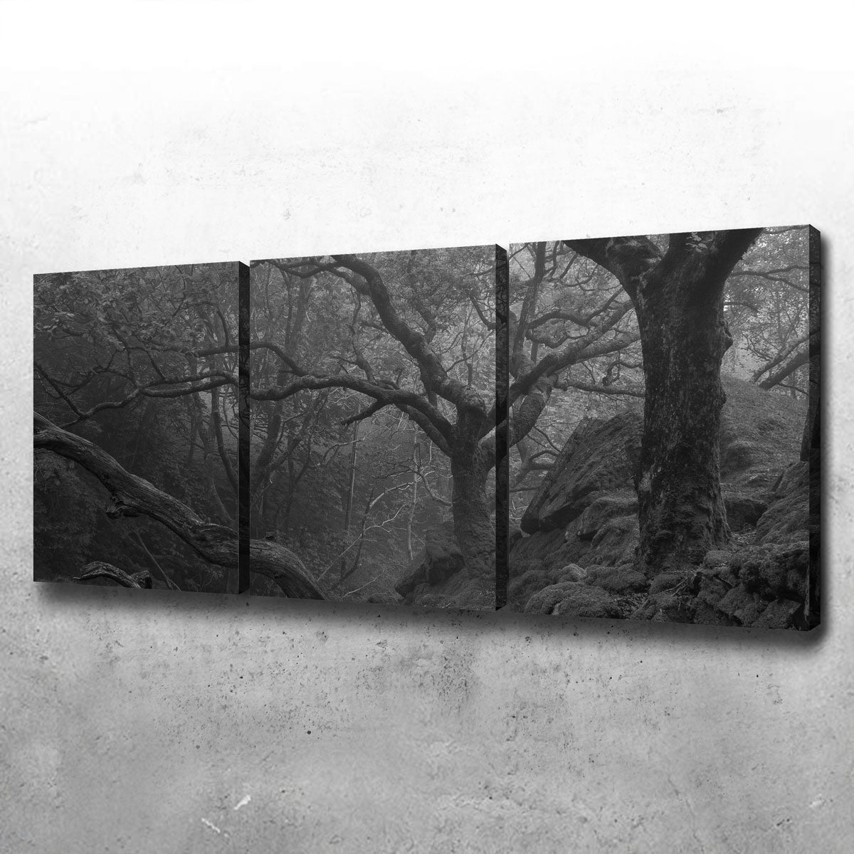 Stunning Thick Roots Wall Art by Mike Cotton