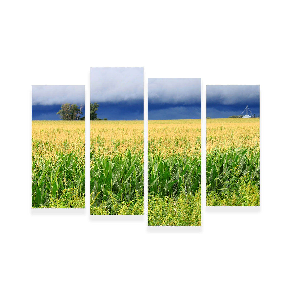 Stunning Thunderstorm Over Illinois Cornfield Wall Art for Home Decor