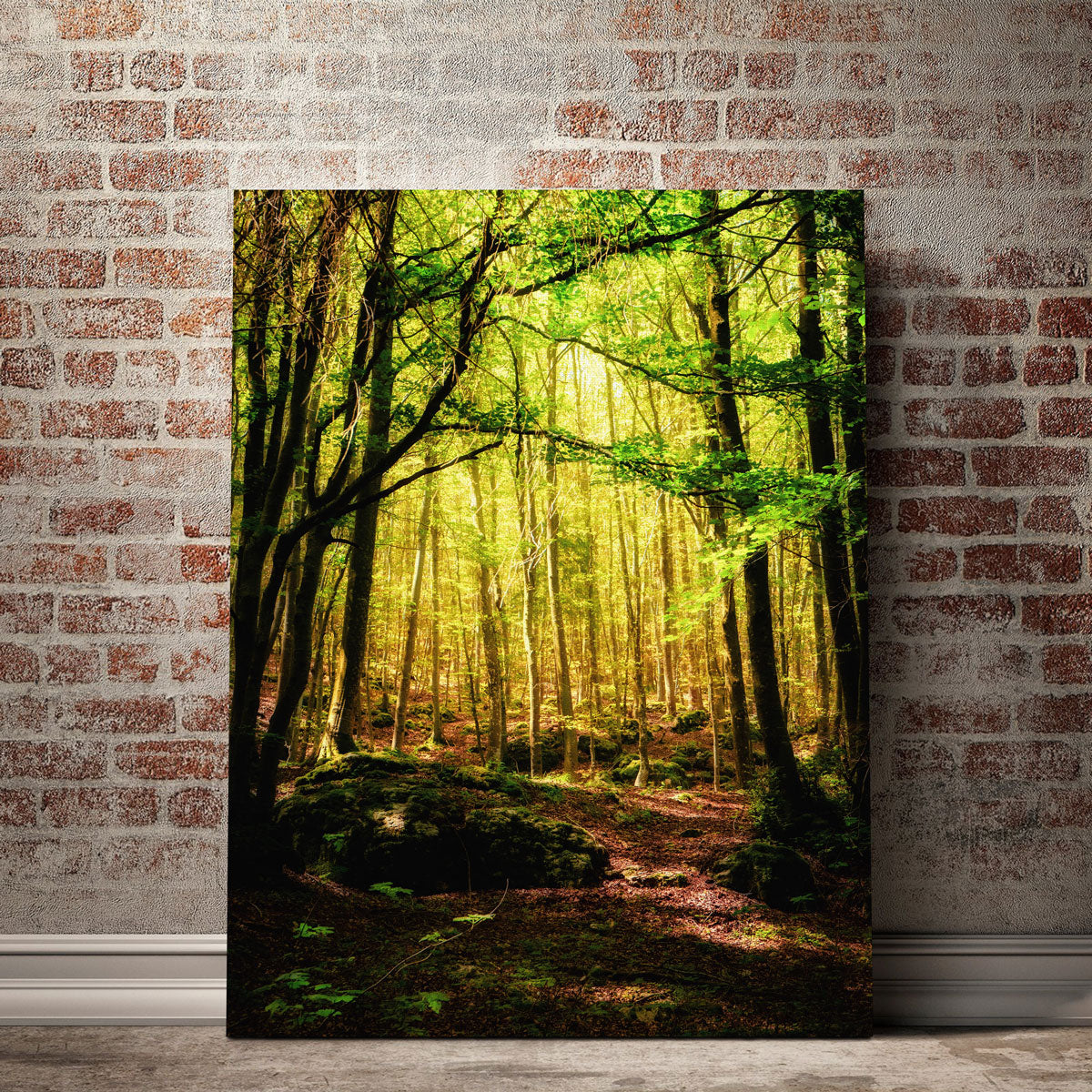 Enchanting Forest Vol. 1 Stunning Wall Art by Stefano Baltieri