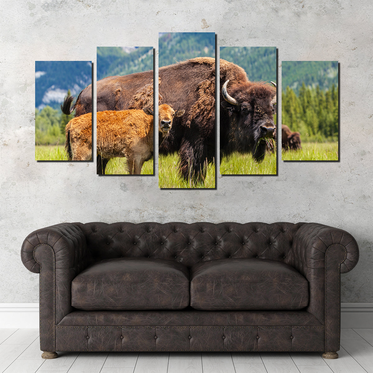 Stunning Buffalo with Calf Wall Art for Your Home Decor