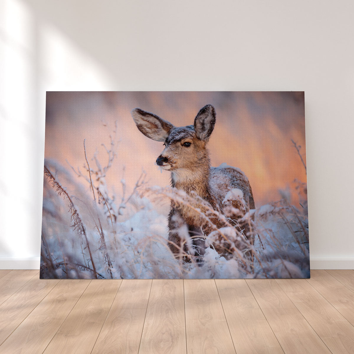 Stunning Colorado Doe Wall Art for Your Home Decor