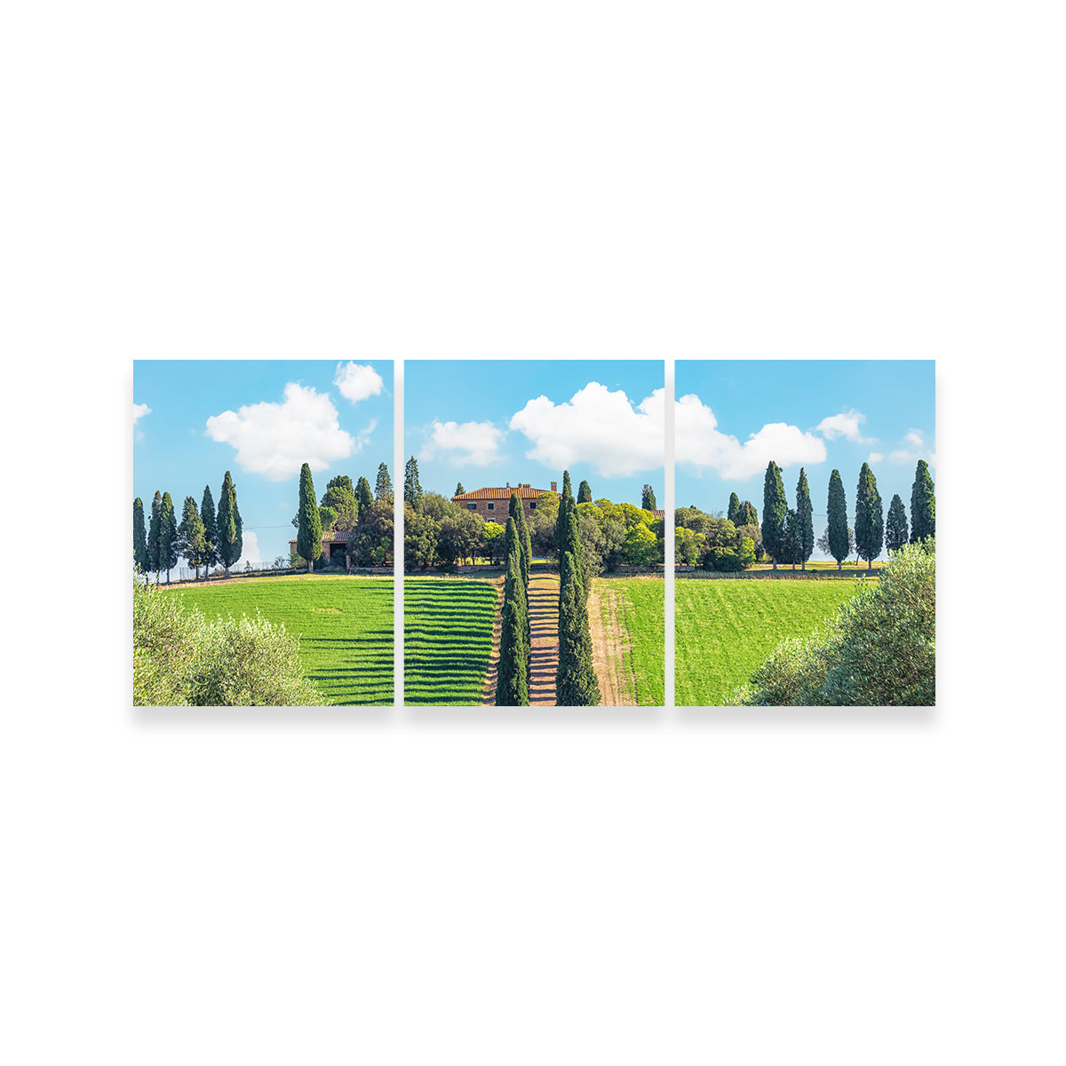 Exquisite Tuscany Wall Art by Manjik Pictures