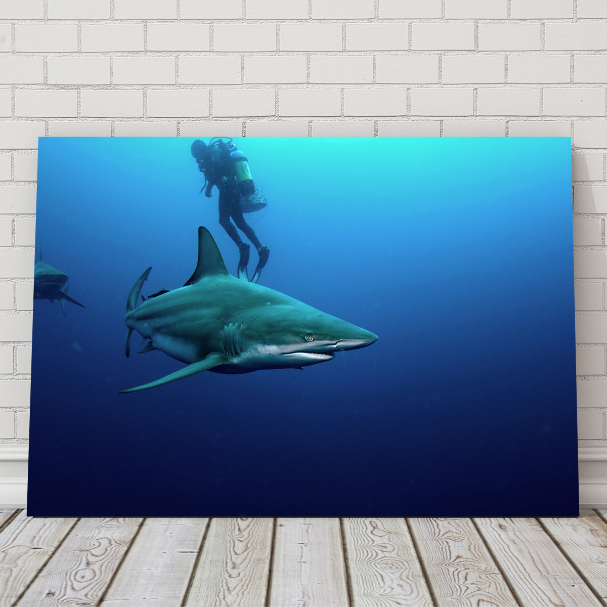 Stunning Bull Shark & Diver Wall Art for Your Home Decor