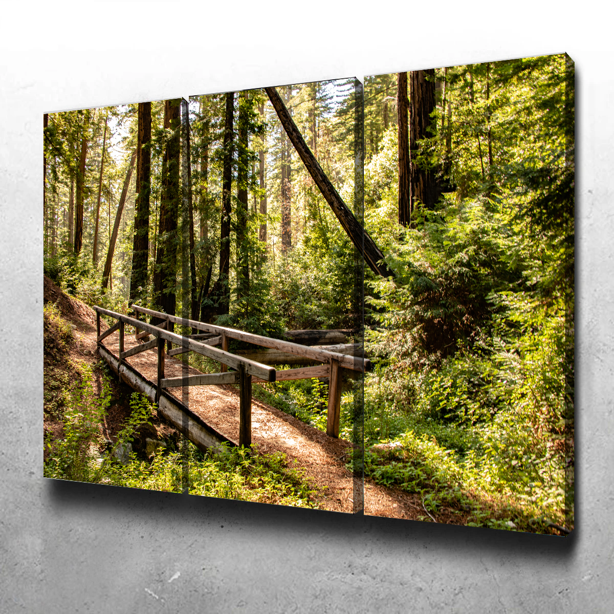 Stunning Ewoldsen Trail Bridge Wall Art by Kyle Sherry