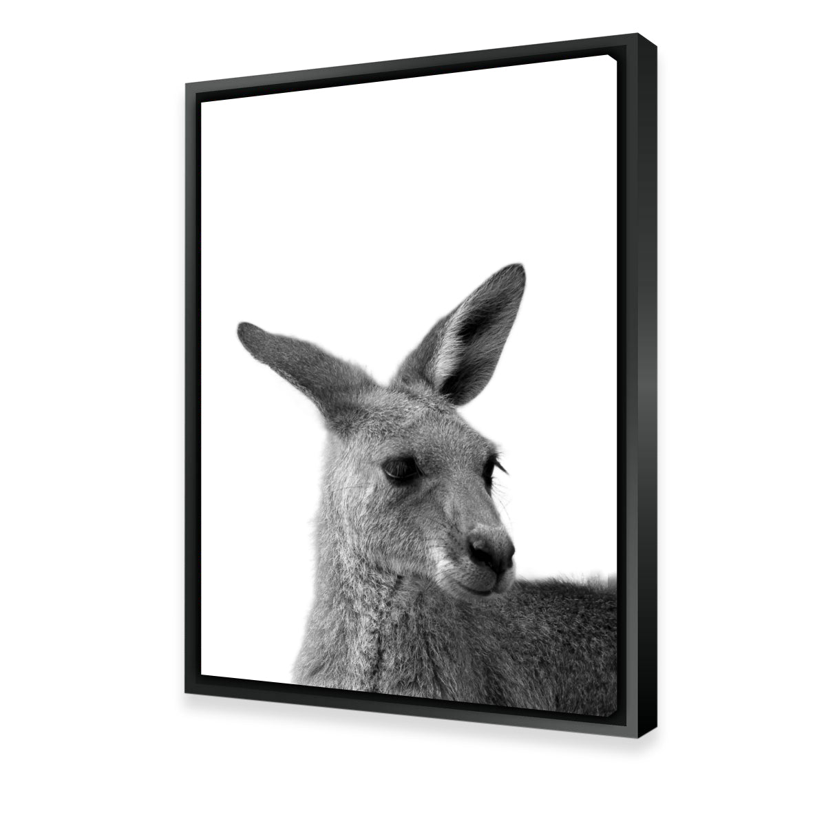 Stunning Kangaroo Wall Art by Lawisi