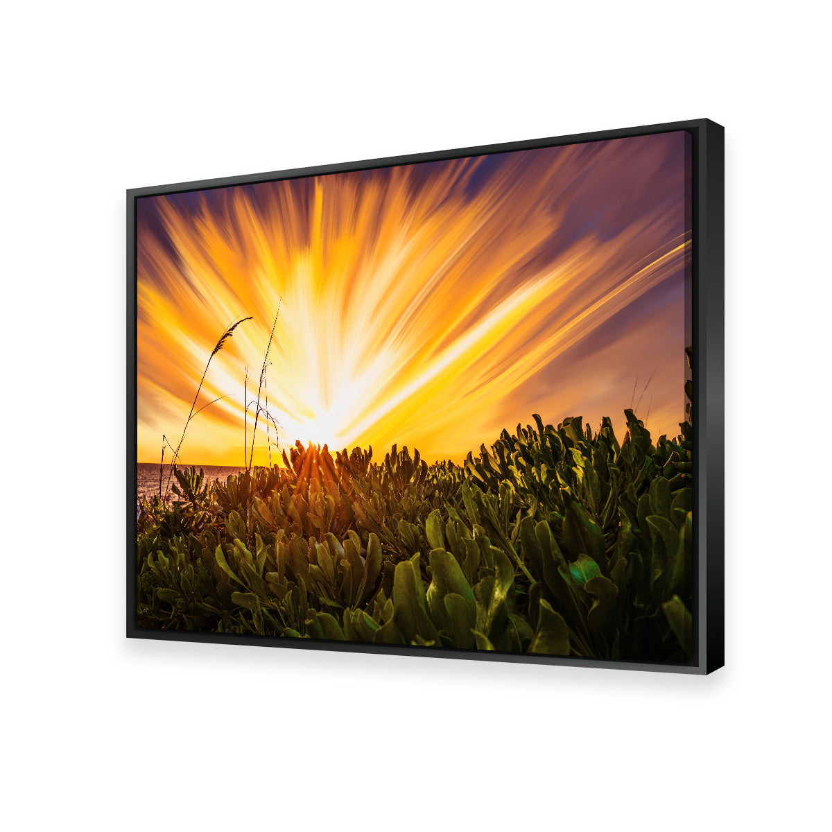 Stunning Exploding Sunset Wall Art by Eileen Rollin