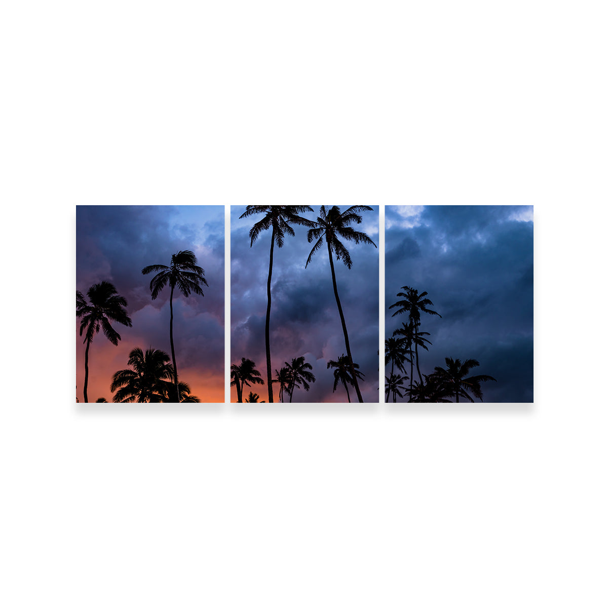 Stunning Fire in the Sky Wall Art by Lucas Moore