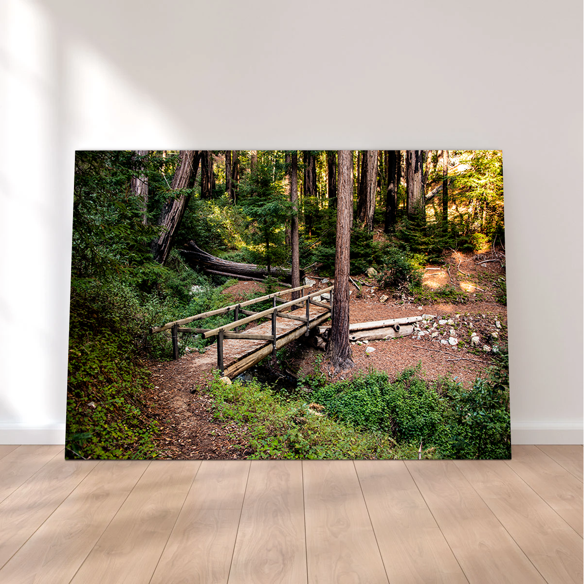 Stunning Ewoldsen Loop Bridge Wall Art by Kyle Sherry