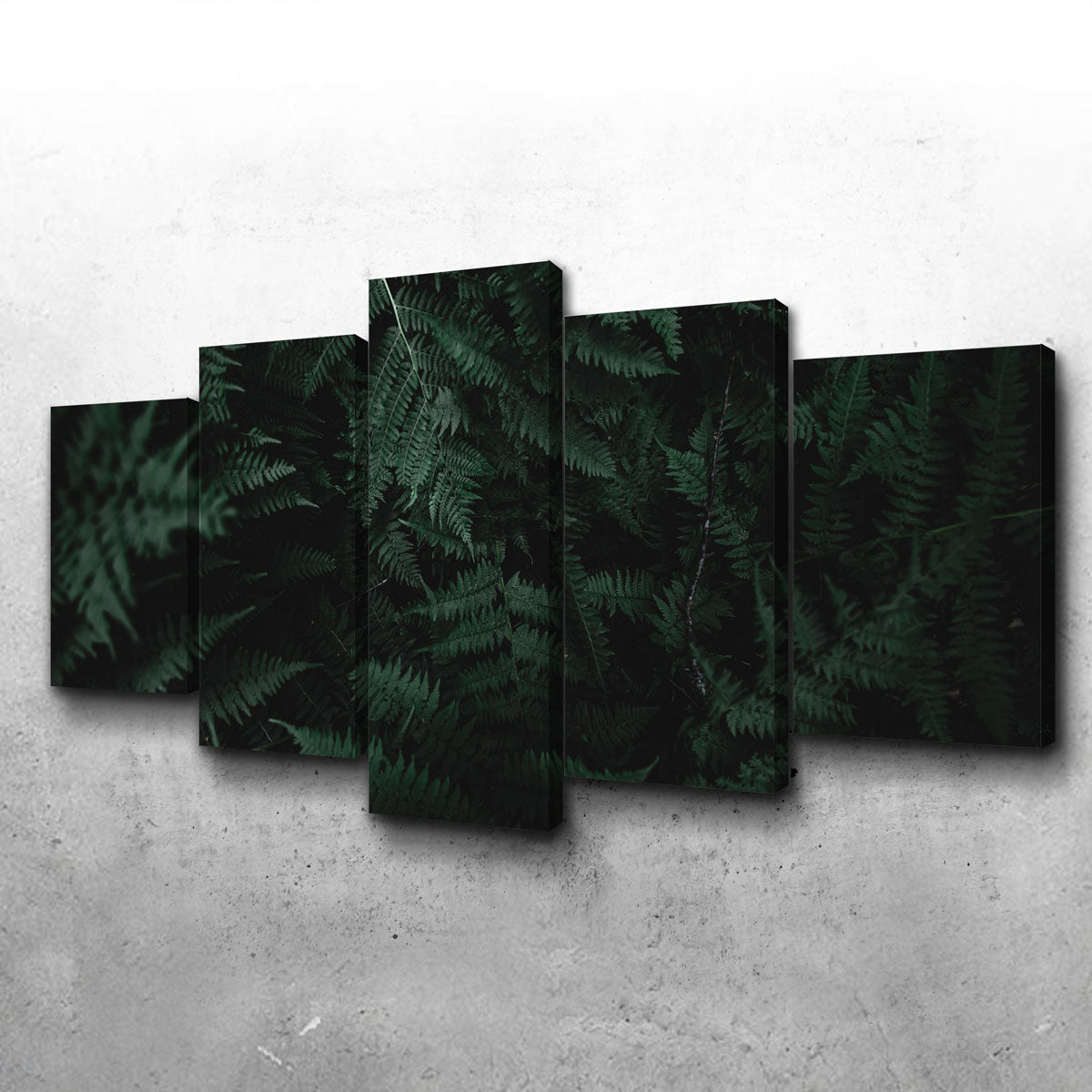 Stunning Ferns Wall Art by Lucas Moore
