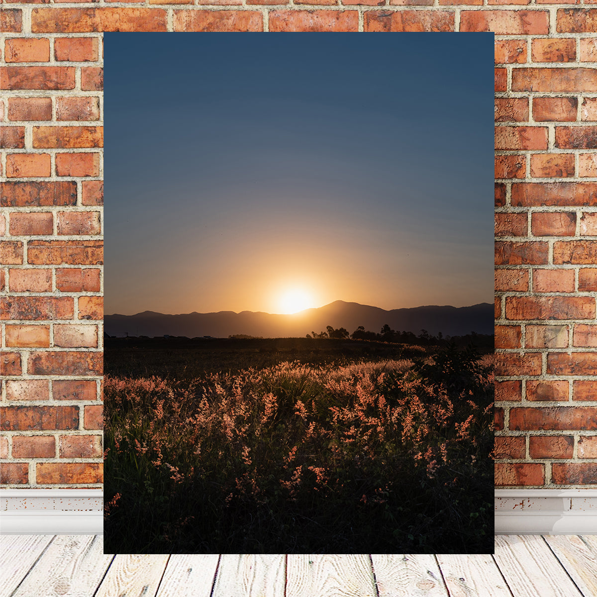 Stunning Sunset Over A Field of Flowers Wall Art by Sofia Leite Fonseca