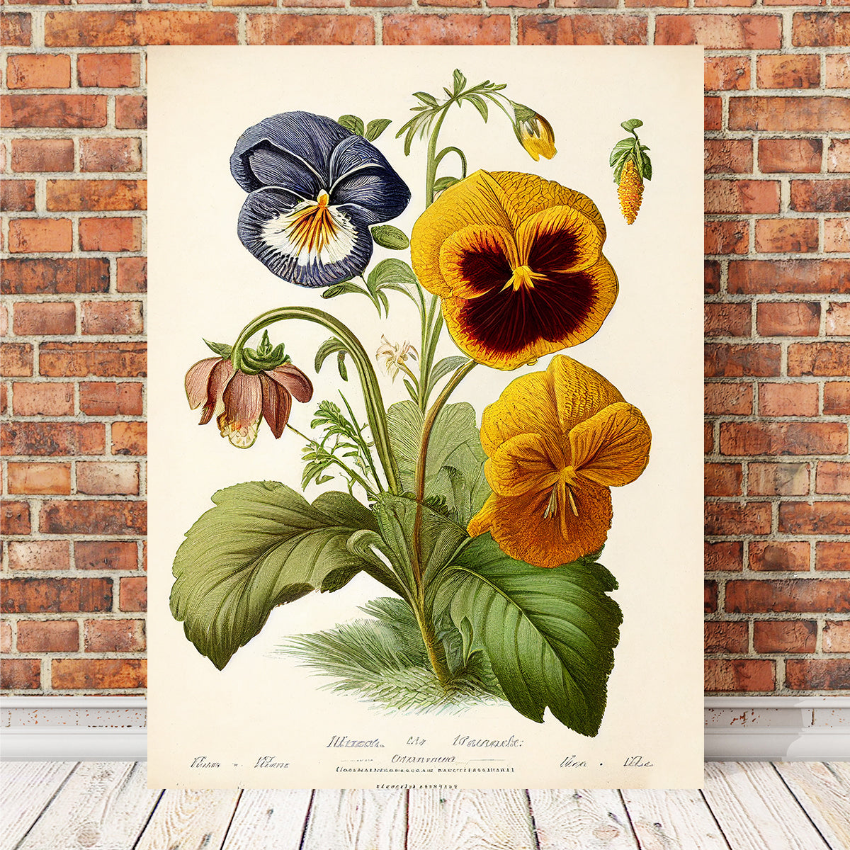 Exquisite Vintage Botanical Print Series 9 Wall Art by Jennifer Hotai