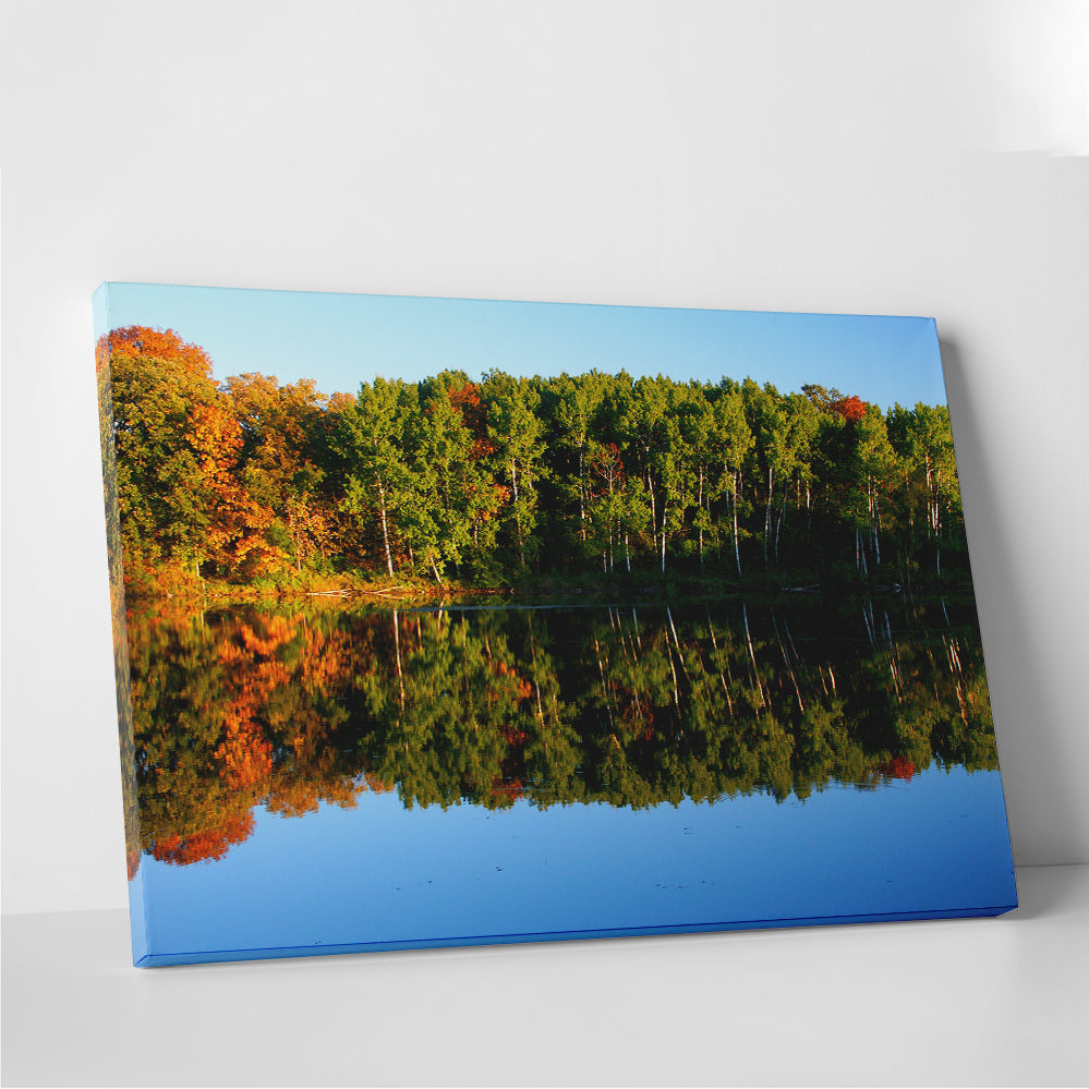 Stunning Kettle Moraine State Forest Wall Art for Home Decor