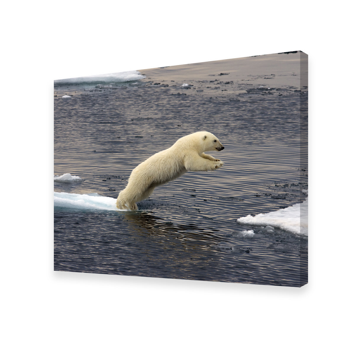 Eye - catching Jumping Polar Bear Wall Art for Stunning Home Decor