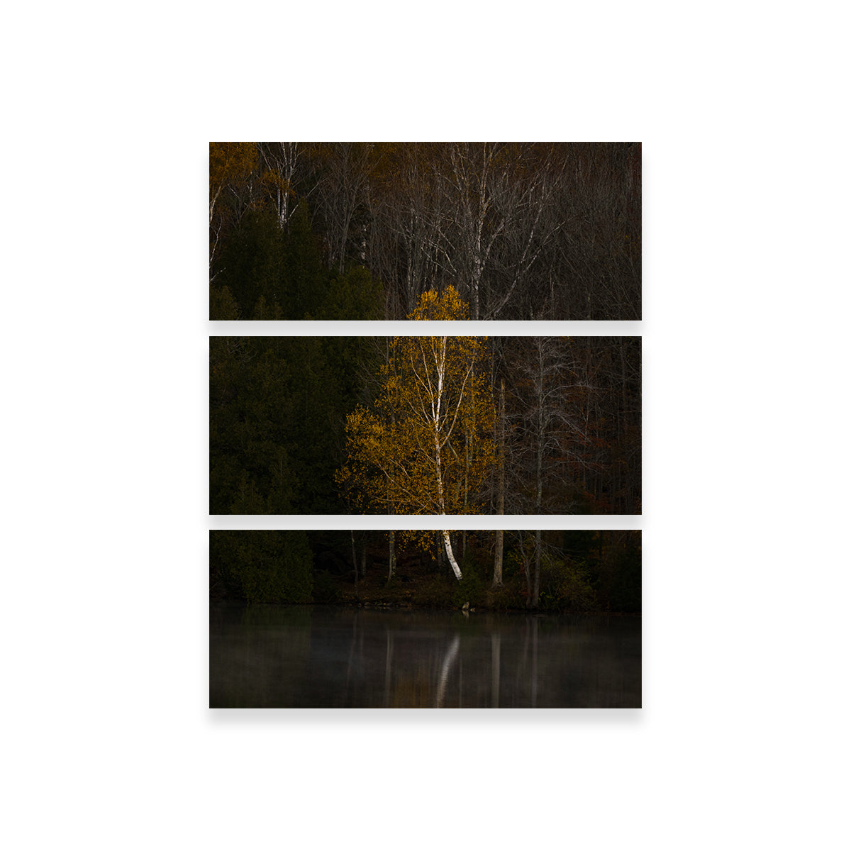 Stunning Moody Vermont Morning Wall Art by Dennis Maida