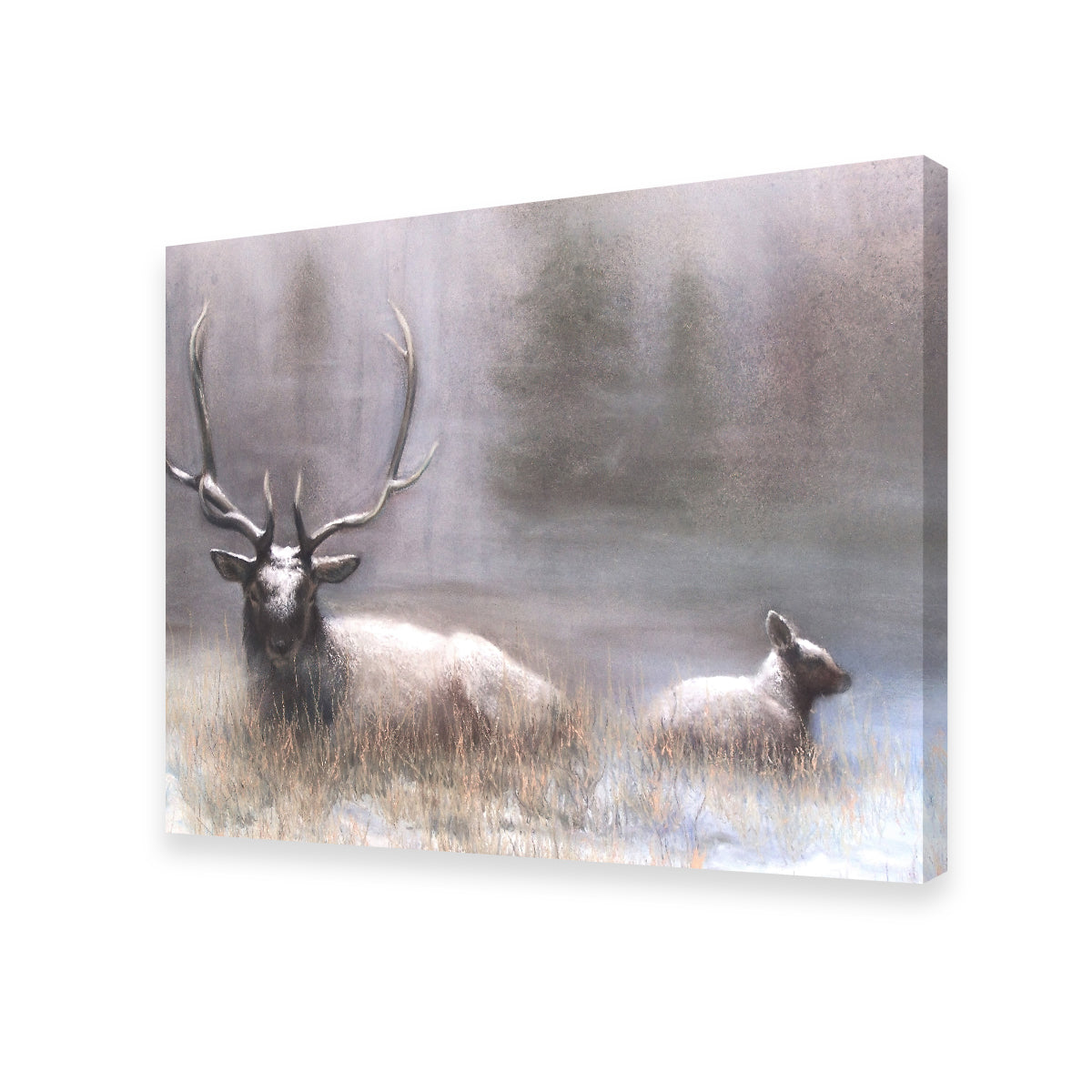 Exquisite Bull Elk & Calf Wall Art by Patricia Jaggie