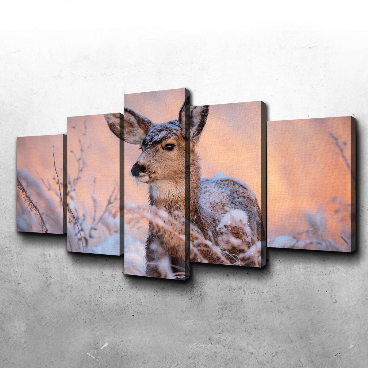 Stunning Colorado Doe Wall Art for Your Home Decor