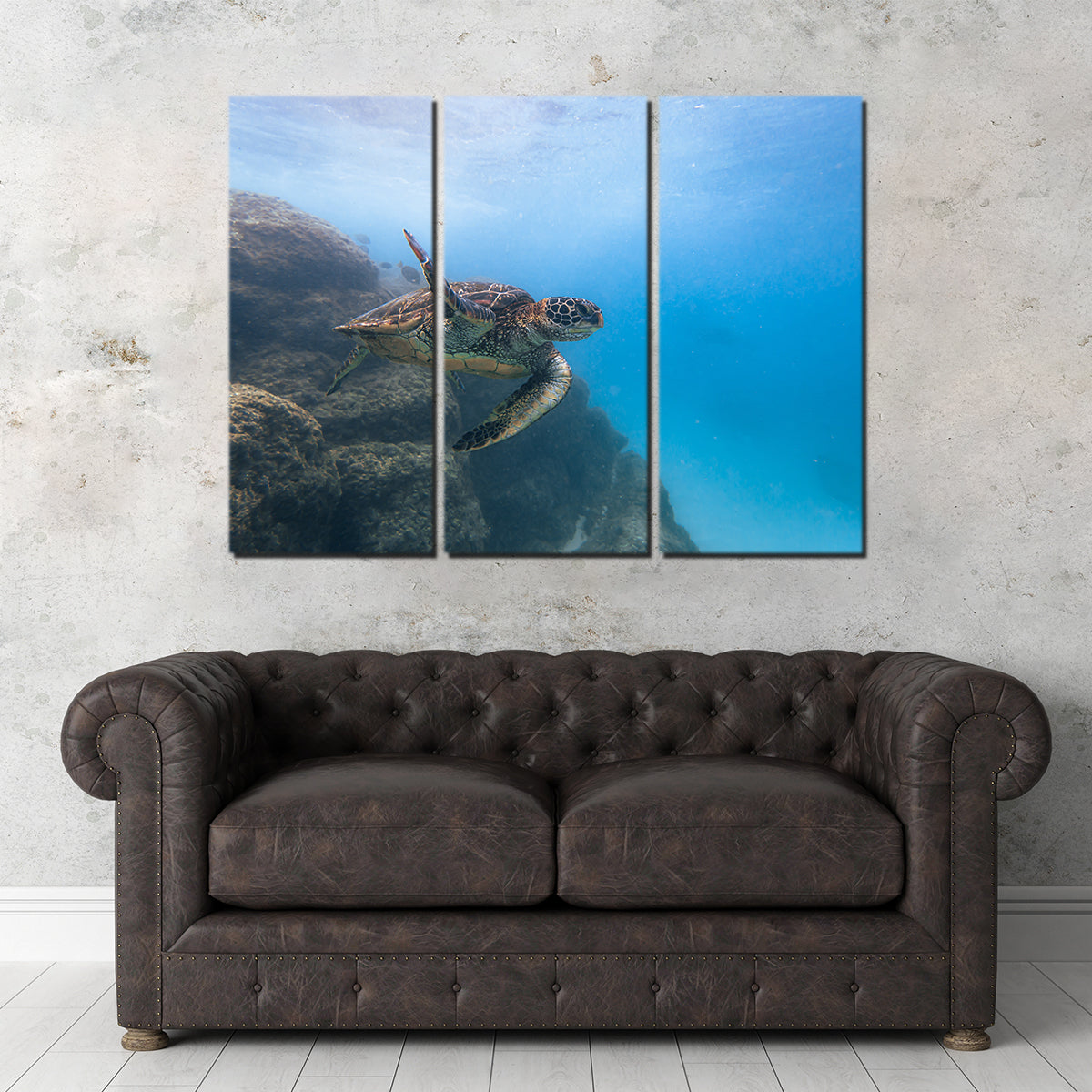 Stunning Turtle Wave Wall Art by Lucas Moore