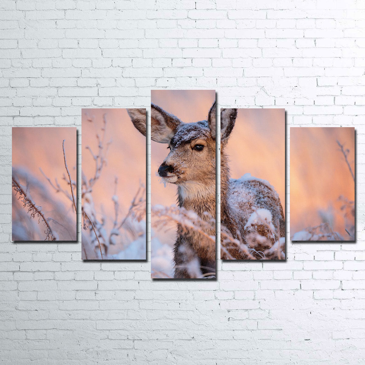 Stunning Colorado Doe Wall Art for Your Home Decor