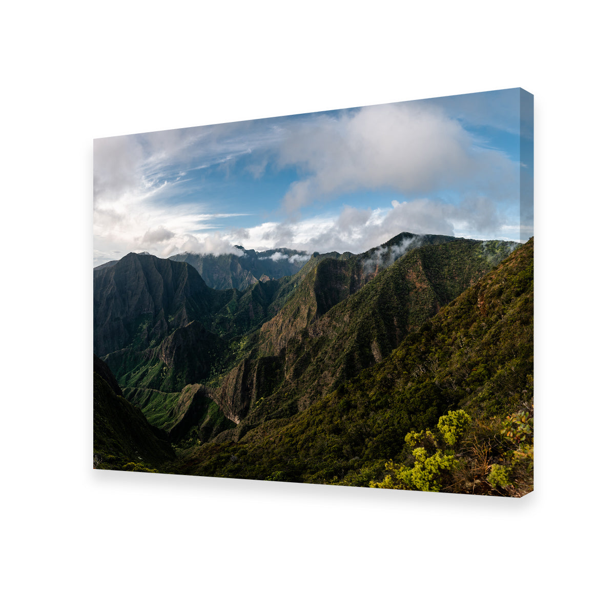 Stunning Maui Valley Panorama Wall Art by Lucas Moore