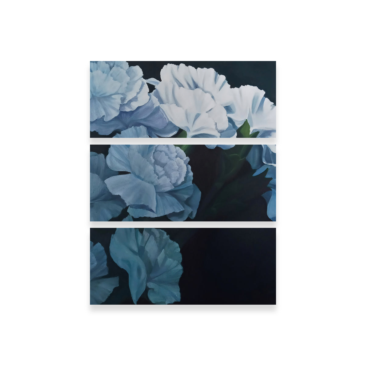 Stunning White Carnations Wall Art for Home Decor