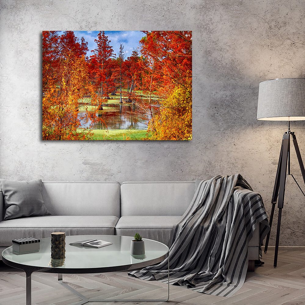 Stunning Lake Conway Cypress Trees Wall Art for Your Home Decor