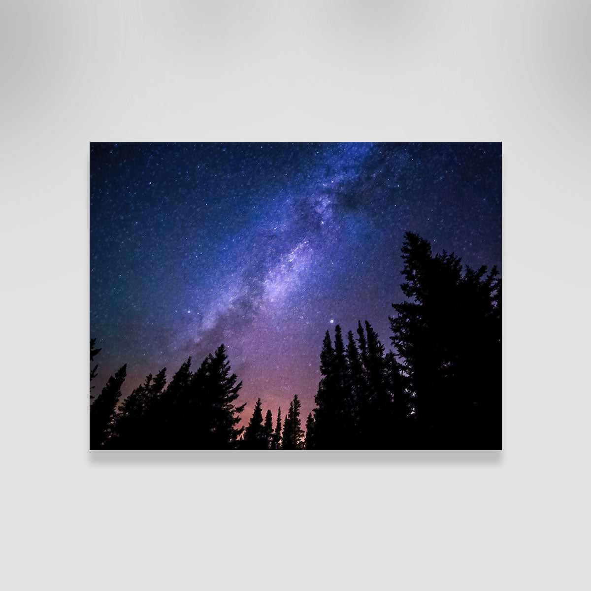 Breathtaking Conifers Reaching To Milky Way Wall Art by Denise Dundon