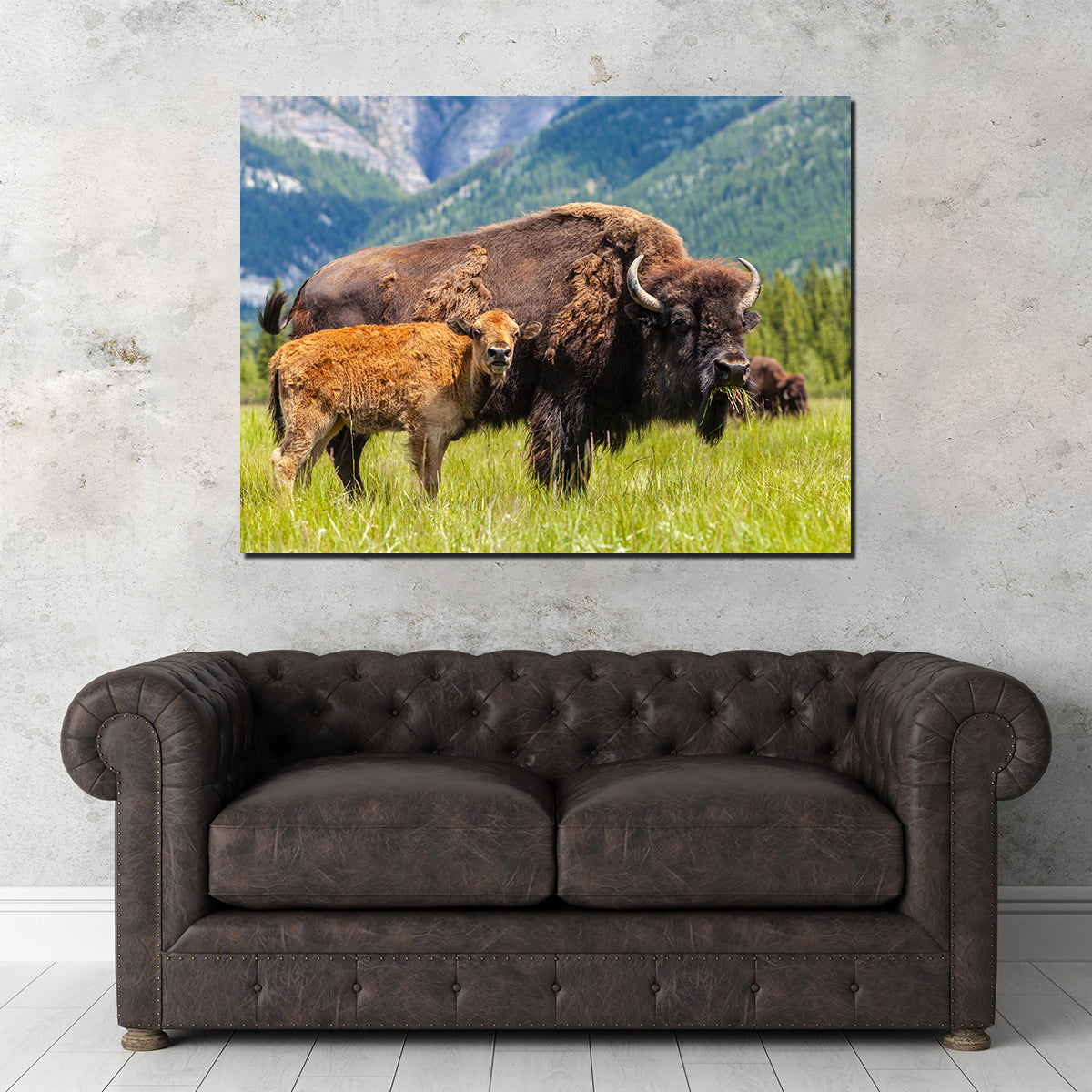 Stunning Buffalo with Calf Wall Art for Your Home Decor