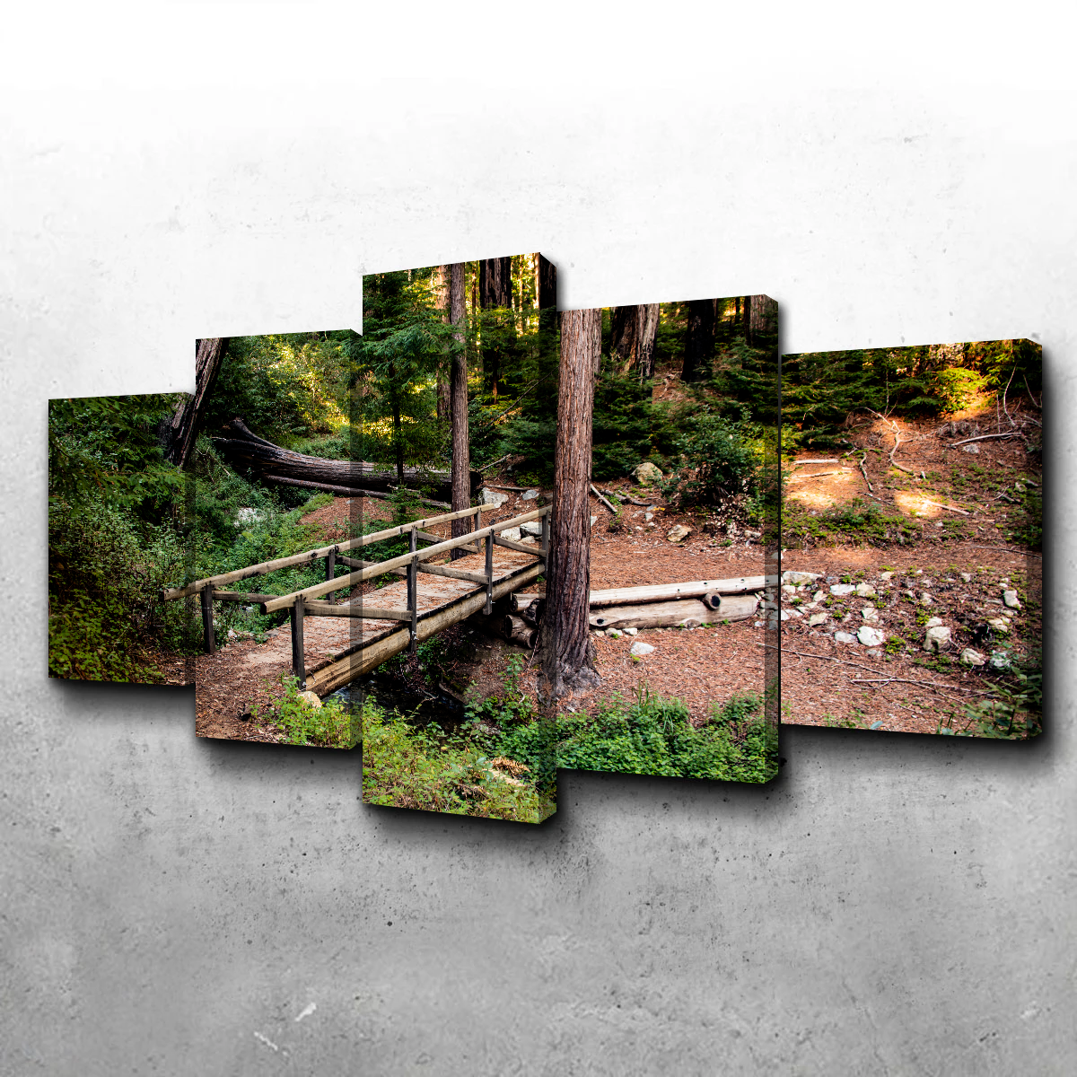 Stunning Ewoldsen Loop Bridge Wall Art by Kyle Sherry