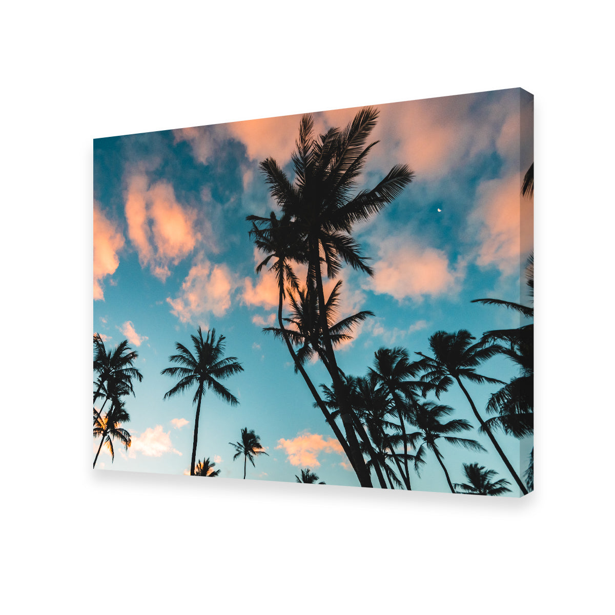 Exquisite Tropical Sunrise Wall Art by Lucas Moore