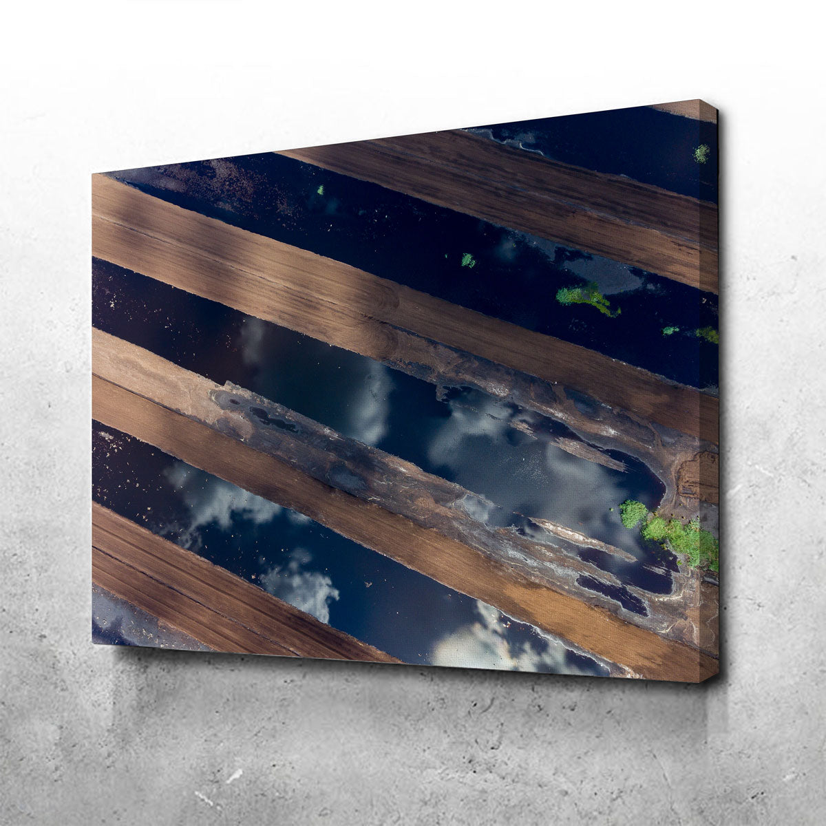 Exquisite Water and Dirt Wall Art by Karolis Janulis