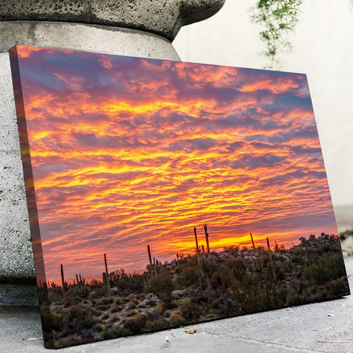 Stunning Vibrant Arizona Desert Sunrise Wall Art for Home Decor