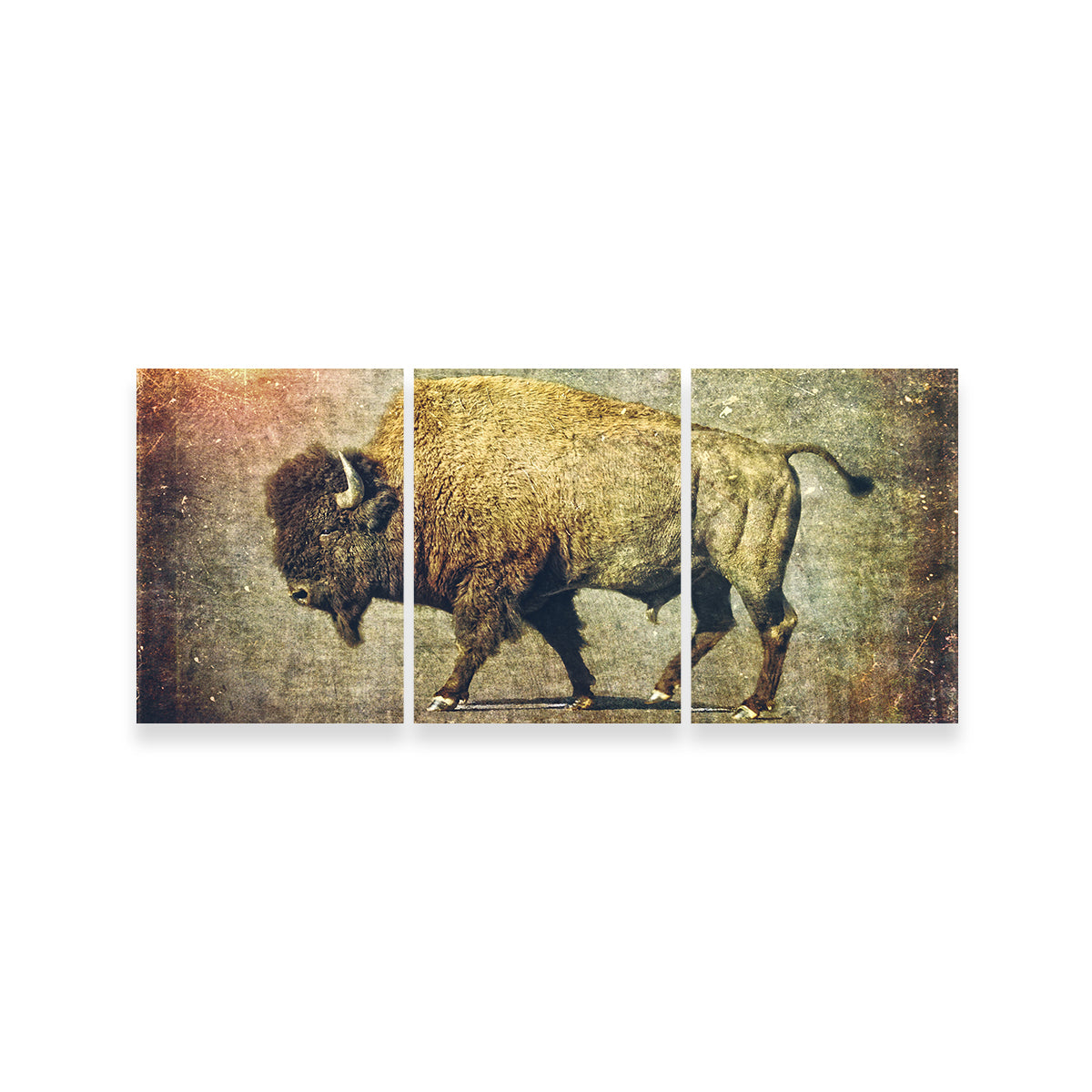 Exquisite Buffalo Art Wall Art for Home Decor