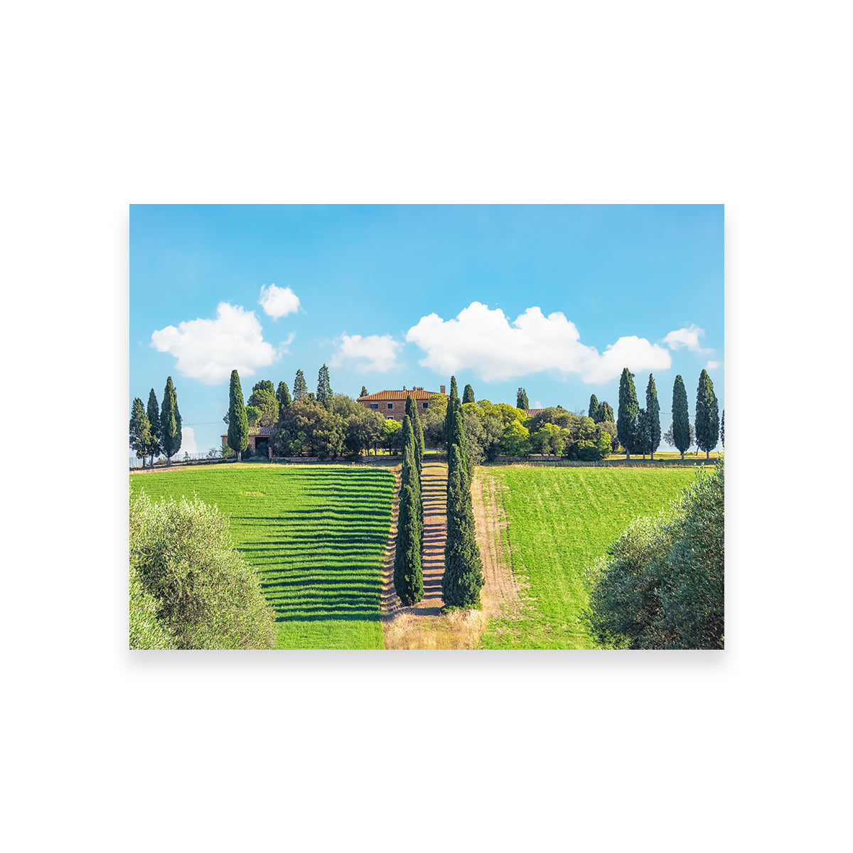 Exquisite Tuscany Wall Art by Manjik Pictures