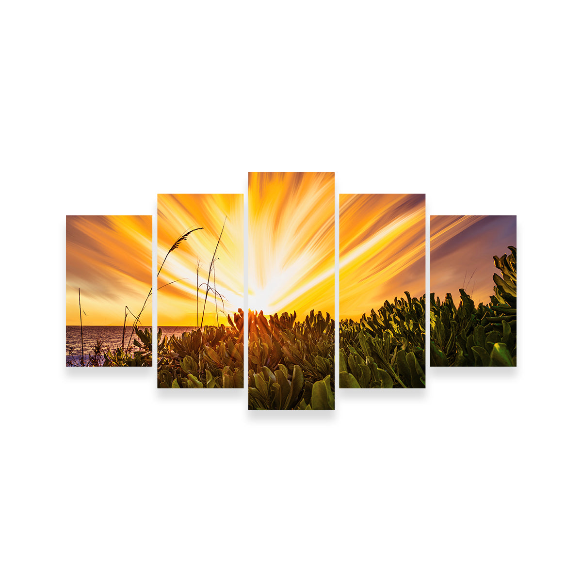 Stunning Exploding Sunset Wall Art by Eileen Rollin
