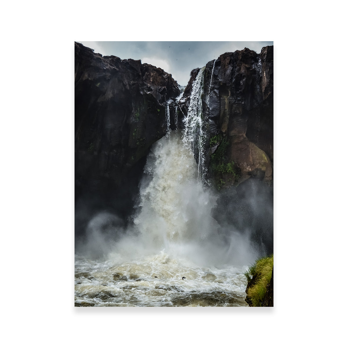 Stunning Fearless Birds Wall Art at Prata Waterfall by Sofia Leite Fonseca