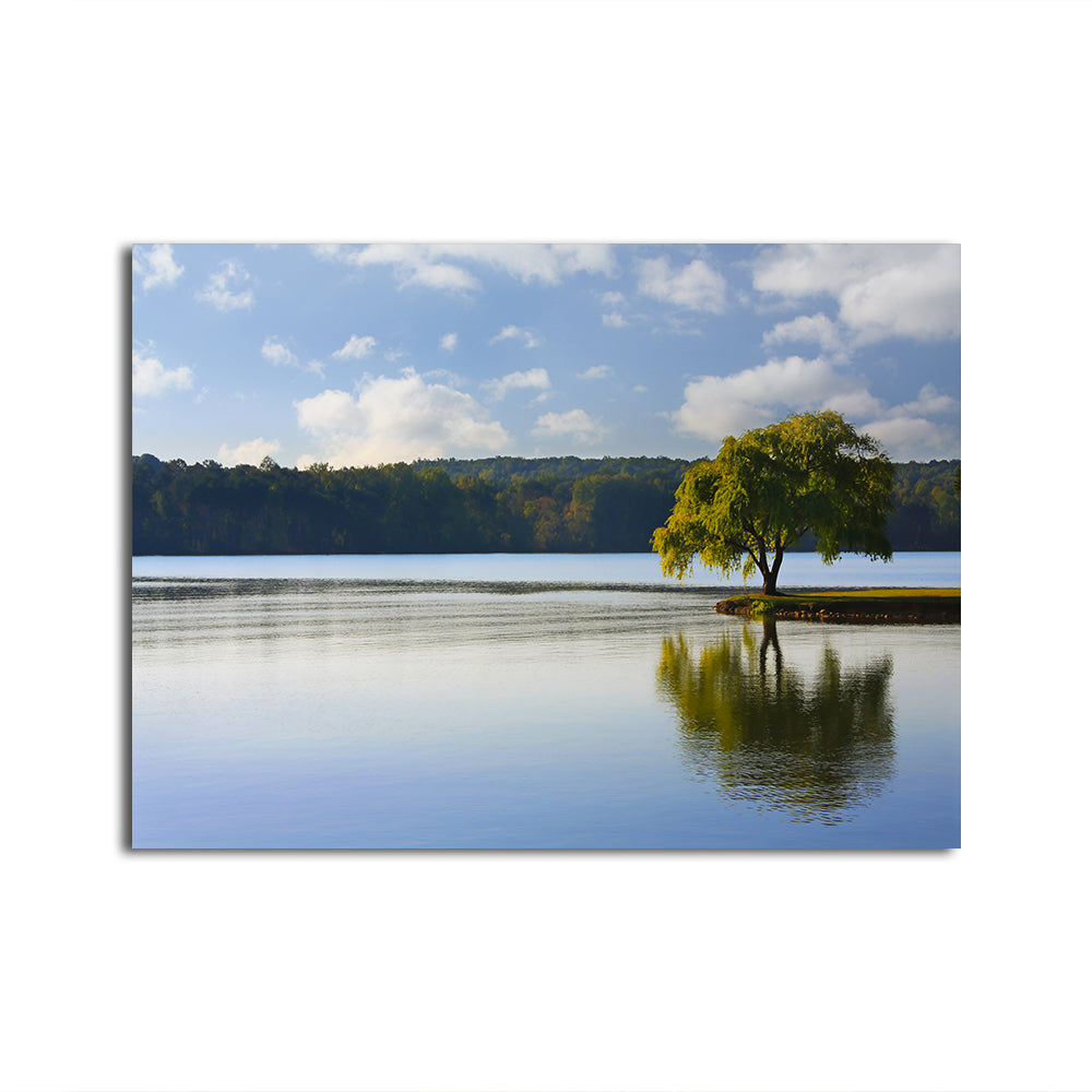 Stunning Willow Tree On The Tennessee River Wall Art for Your Home Decor