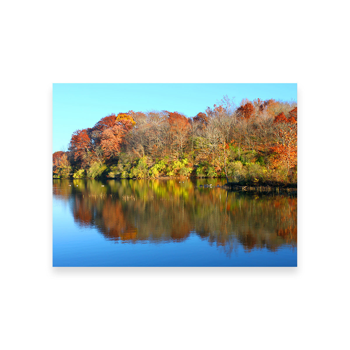 Kickapoo State Park Wall Art