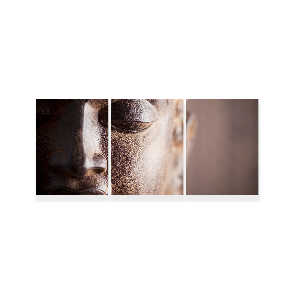 Exquisite Buddha's Head Canvas Print